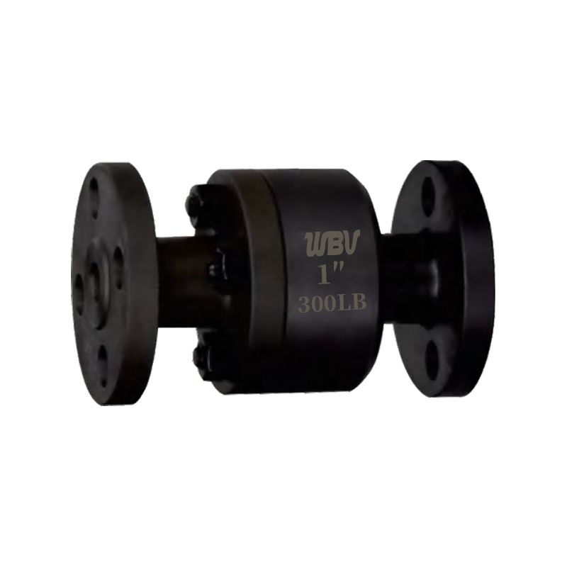 National standard forged steel flange vertical check valve H42H
